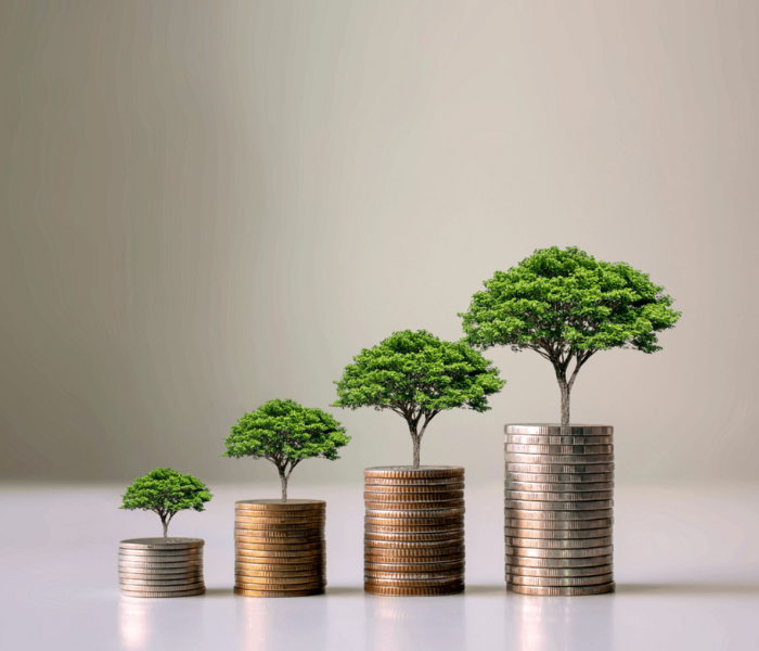 Debt Syndication